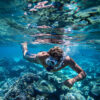 Layanan Pemandu Snorkeling & Eksplorasi Terumbu Karang (Professional Snorkeling Guide) – Nature Redline (Day)