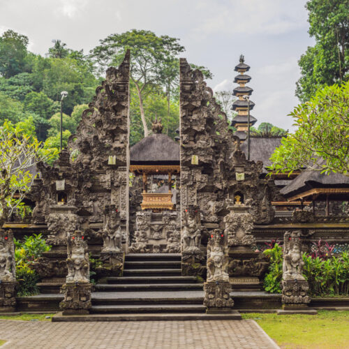 14542 Layanan Bali Cultural & Heritage Tour Guide – Nature Redline (Day)