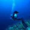 Layanan Ekspedisi & Pemandu Scuba Diving Profesional – Nature Redline (Day)