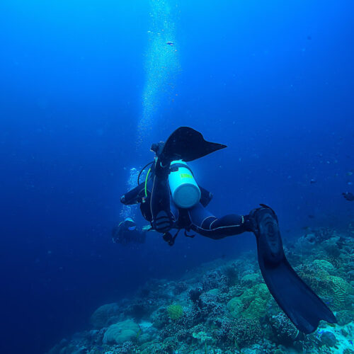 6007 Layanan Ekspedisi & Pemandu Scuba Diving Profesional – Nature Redline (Day)